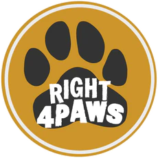 Dhanu founder of Right 4 Paws About Us of Right4Paws Right4Paws