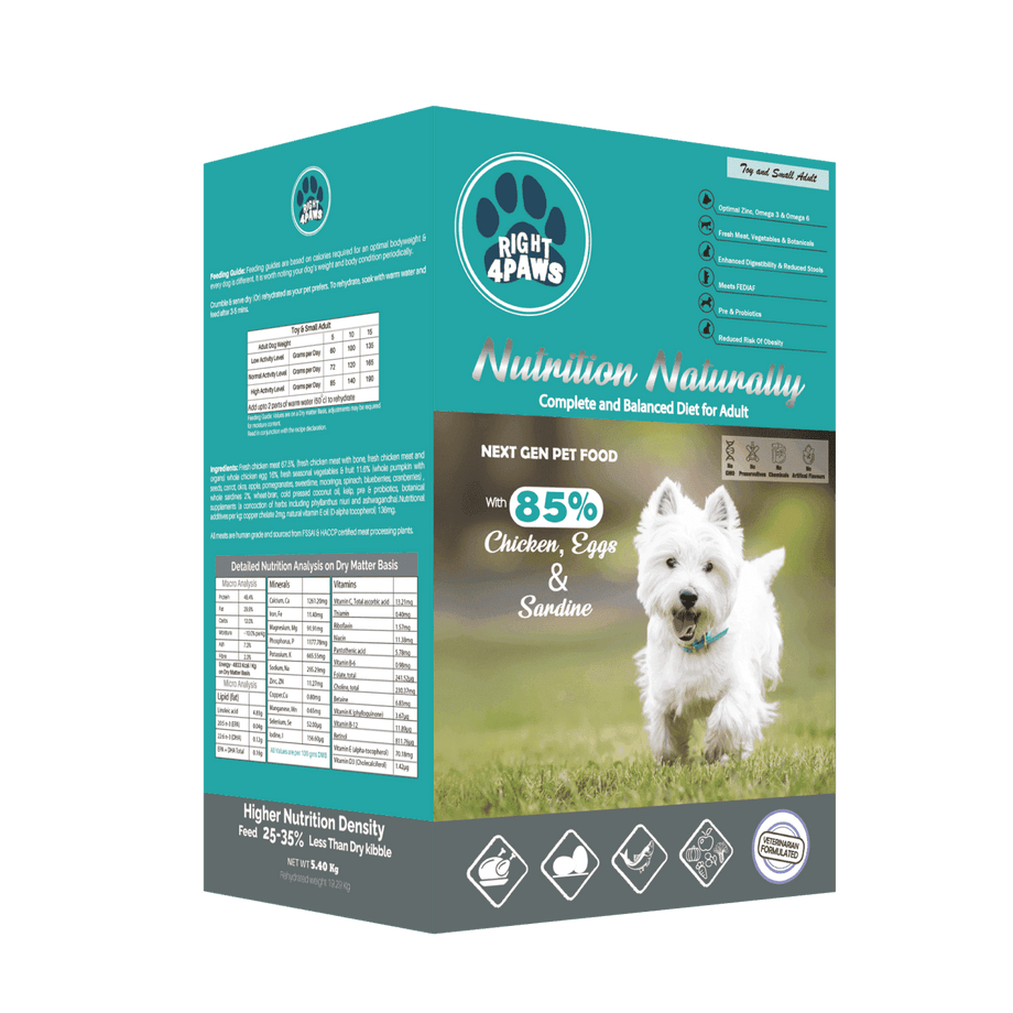 Best dry dog food for small breed outlet adults