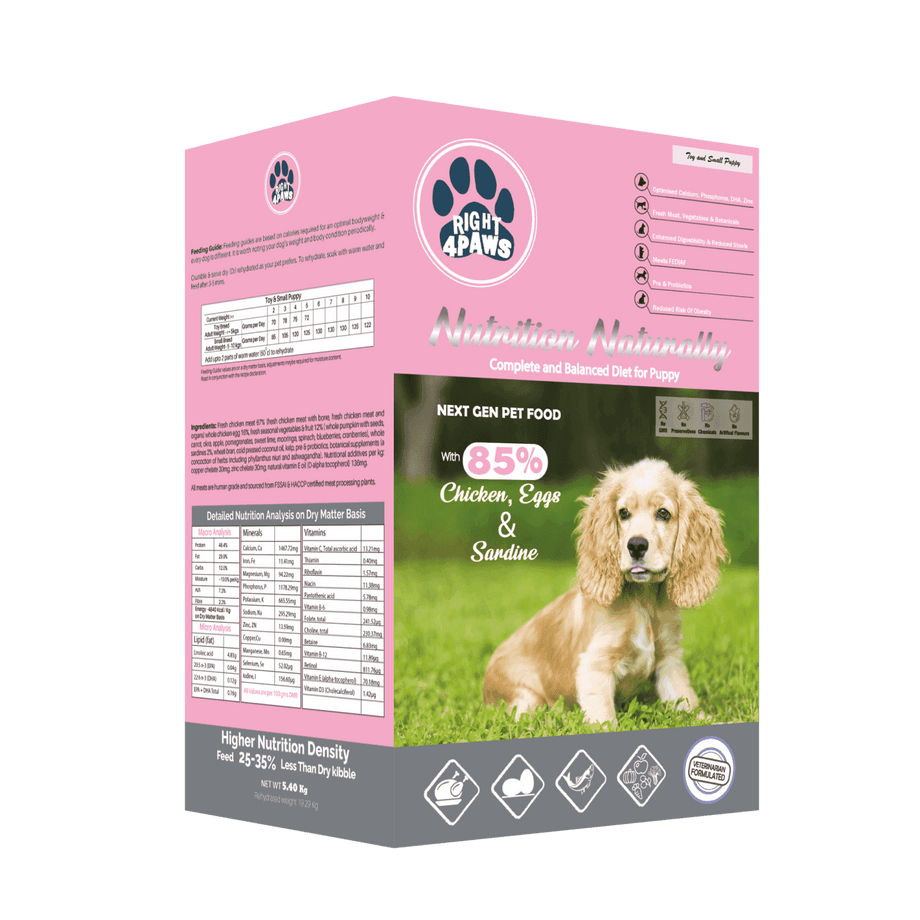 Best toy dog food sale